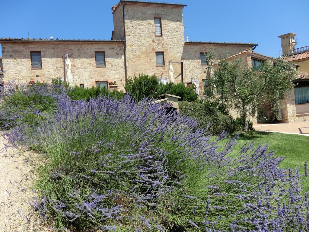 La Pieve Di San Martino Guest House Colle Val D'Elsa Luaran gambar